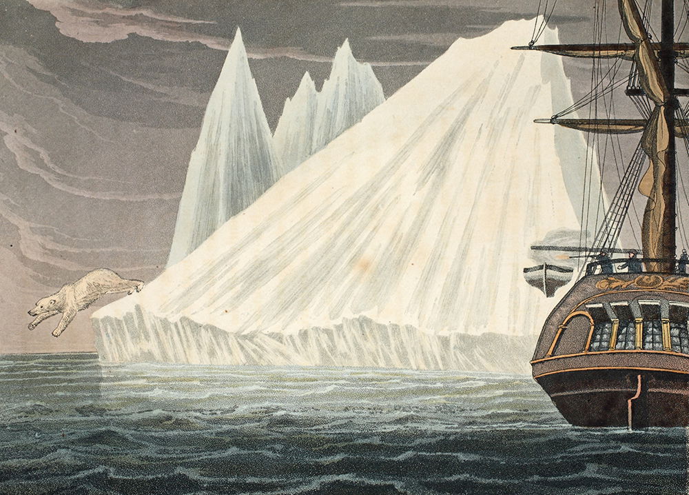 ‘A bear a bear plunging into the sea’, illustration from A Voyage of discovery ... inquiring into the probability of a North-West Passage, by John Ross, 1819. The Stapleton Collection/Bridgeman